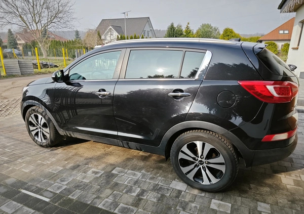 Kia Sportage cena 45899 przebieg: 207000, rok produkcji 2011 z Lębork małe 667